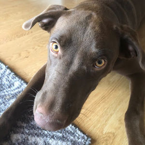 Meet your Posher, Aubrey